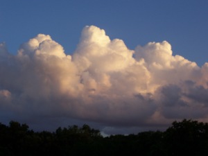 Fairy tale clouds over the woods. 